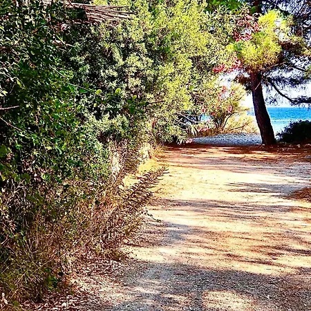 Διαμέρισμα Nerea Νικιάνα